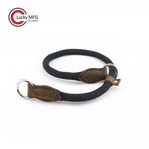 Cheap Price Adjustable Slip Rope Dog Collar